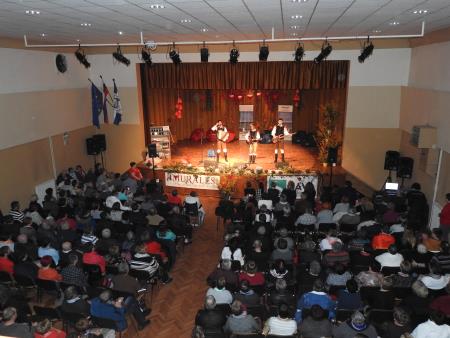 12. tradicionalni glasbeno-humoristični Valentinov koncert 42